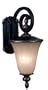 Kenroy Home 10170MBZ Leafston Lantern, Mercury Bronze, Small