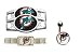 Miami Dolphins ProStarter Bracelet/Belly Ring/Shoe Thingz Charm Package