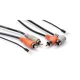 Dual Audio Interconnect