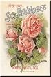 Scott's Roses Refrigerator Magnet