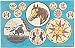 Intercourse Pa Hex Signs Postcard