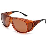 Cocoon C207 XL-Aviator Sunglasses