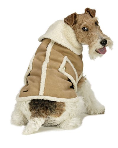 dog coats