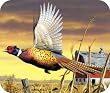 Mouse PAD Flying Pheasant 9x8"