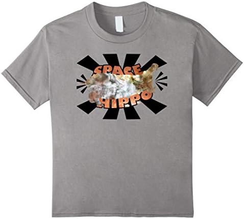 Kids Roaring Space Hippo Funny T-Shirt 12 Slate