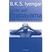Licht auf Pranayama: Das grundlegende Lehrbuch der Atemschule des Yoga