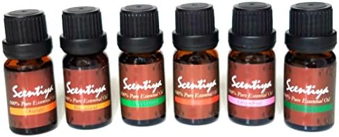 Aromatherapy Top 6 Essential Oils Gift Set-6 Bottles-100% Pure &amp; Natural-Therapeutic grade (Peppermint, Grapefruit, Lavender, Eucalyptus, Lemon and Rose) -10 ml