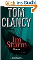 Im Sturm: Roman