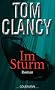 Im Sturm: Roman