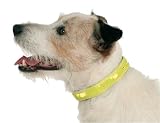Maxi-Pet 83381 MAXI SAFE Leuchthalsband 28-48 cm / 25 mm