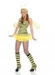 4Pc. Queen Bee Incl Headpiece,Wings,Petticoat Dress And Fuzzy Leg Warmers