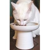 Classy Cat and Dog Raised Stoneware Fresh/Canned/Wet Food Dish - Eggshell