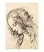 After Leonardo Da vinci Testa di donna di profilo People Giclee Poster Print by Emers...