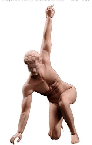 Faisen Limited Mototai 1/6 scale ultra flexibility does not include seamless male body medium build type head (PL2015-M31)