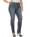 Hydraulic Plus Size Jeans, Skinny Medium Wash