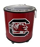 Review Creative Cooling  / The Tailgate Cooler - South Carolina