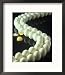 One Cracked Egg in Line with Unbroken Eggs Framed Photographic Poster Print by Ewing Galloway, 17x21