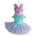 Royal Rapunzel Purple Princess Dress-up Costume