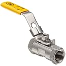 Merit Brass Stainless Steel 316 Ball Valve, Unibody, Lever, 1/4" NPT Female