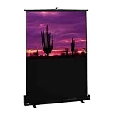 Draper Traveler Portable Case Projection Screen - NTSC Screen (40 W x 30 H)