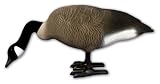 Higdon Decoys&Acirc;&reg; Feeder Full Body Canada Goose Decoys 4 - Pk.