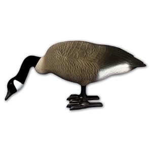 How to Make a Canvas Goose Decoy | eHow.com plans for homemade goose decoys