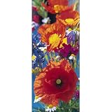 (34x79) Red Poppies Giant Door Poster Art Print