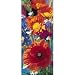 (34x79) Red Poppies Giant Door Poster Art Print