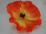 ~Orange and Yellow Poppy Hair Flower Clip, Brand New.