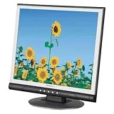 17IN LCD 1280X1024 Blk/slvr VGA 8MS with 3 Yr Warr Envision