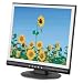 17IN LCD 1280X1024 Blk/slvr VGA 8MS with 3 Yr Warr Envision