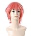 FENGSHANG Naruto Sasori Short Cosplay Wigs 14 Inches Red