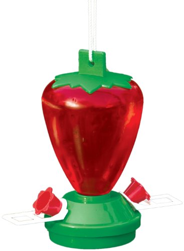 feeder valley cherry 12-ounce plastic strawberry hummingbird feeder