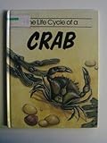 The life cycle of a crab
