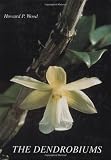 The Dendrobiums 画像