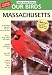 Birds of Massachusetts v3.9
