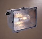 100 Watt Area Security Lamp