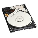 Western Digital 640 GB SATA OEM Notebook Hard Drive WD6400BEVT (Scorpio Blue)