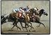 LONG SHOT HORSES DOORMAT by Adeline Halvorson