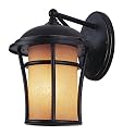 Trans Globe Lighting PL-5250 WB-NO Weathered Bronze Outdoor Wall Light