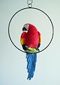 Hand Painted Red Parrot with Ring Indoor Outdoor