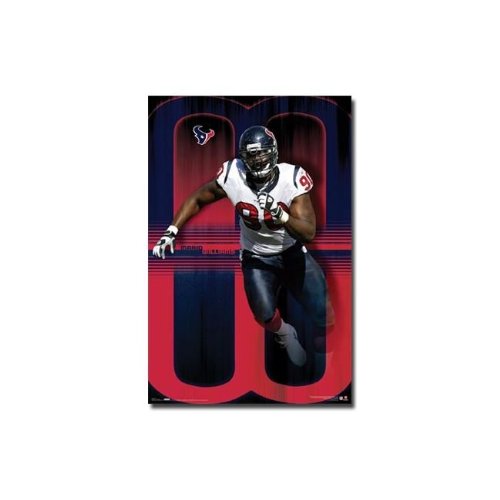 Costacos 4346 NFL Poster M. Williams # Houston Texans