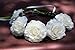 Cinderella's Shop® Festival Boho Hippy Hair Head Band/ Rose Crown/hair Accessory/corsage