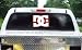 DC SHOES 10