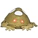 Toys : Frog Bean Bag Chair