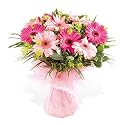 Striking Gerbera fanfare. Wow! - Send Mothers Day Flowers Floral Arrangement of Fresh Flowers