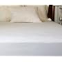 Newpoint Terry Queen Waterproof Mattress Protector