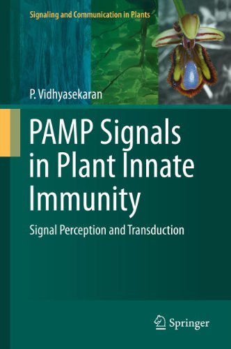 PAMP Signals in Plant Innate Immunity: Signal Perception and Transduction: 21 (Signaling and Communication in Plants)