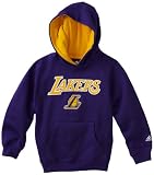 NBA Toddler Los Angeles Lakers Pullover Hoodie - R24C8Ela (Regal Purple, 2T)
