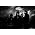 Vignette de The 69 Eyes